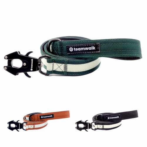 teamwalk® Premium Hundeleine - mit Leuchtstreifen, weicher Polsterung, robuster Schnalle, (Waldgrün, 130cm) von teamwalk