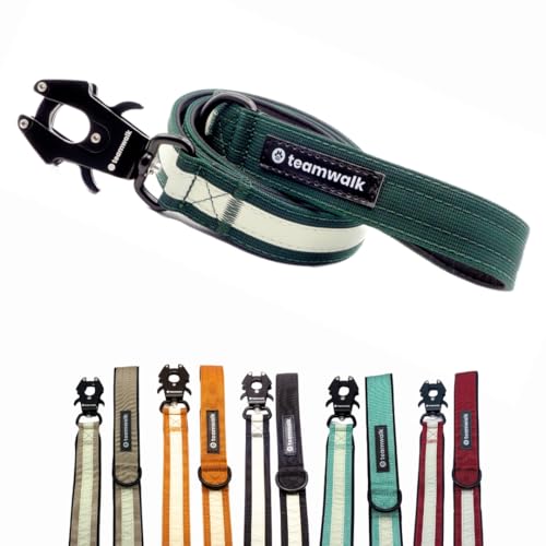 teamwalk® Premium Hundeleine - mit Leuchtstreifen, weicher Polsterung, robuster Schnalle, (Waldgrün, Leine Waldgrün(130cm)) - perfekt abgestimmte Länge, für eine Gute Leinenführichkeit. von teamwalk