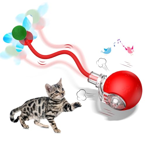 teeche Interaktives Katzenspielzeug für den Innenbereich, Ball für Katzen mit motorischer Aktivierung, schnelles Rollen und Zwitschern, automatisches Spielzeug für erwachsene Katzen im Innenbereich teeche Interaktives Katzenspielzeug für den Innenbereich, Ball für Katzen mit motorischer Aktivierung, schnelles Rollen und Zwitschern, automatisches Spielzeug für erwachsene Katzen im Innenbereich von teeche