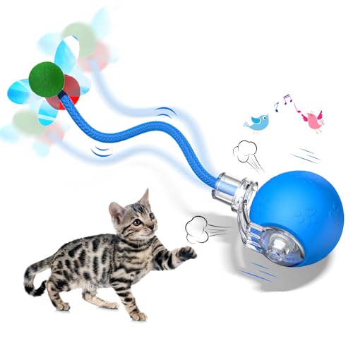 teeche Interaktives Katzenspielzeug für den Innenbereich, Katzenball mit bewegungsaktiviertem Schwanz, schnelles Rollen und Zwitschern, Blau teeche Interaktives Katzenspielzeug für den Innenbereich, Katzenball mit bewegungsaktiviertem Schwanz, schnelles Rollen und Zwitschern, Blau von teeche