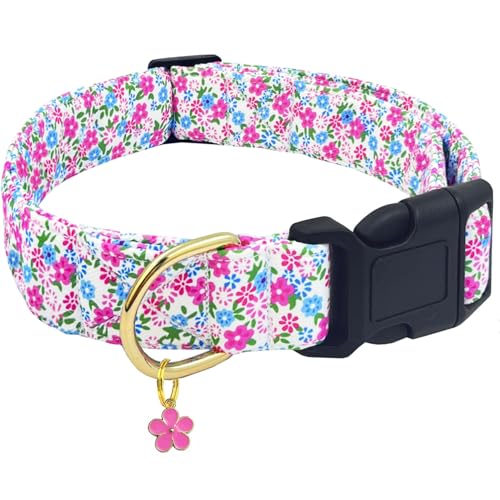 TEEMERRYCA Hundehalsband mit Blumendruck, strapazierfähiges Polyester-Verbundmaterial, verstellbar für kleine, mittelgroße und große Rassen, Geschenk für Haustiere (Rosenrot, Blau, L) von teemerryca
