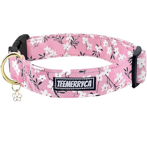 TEEMERRYCA Süßes Mädchen-Hundehalsband aus Baumwolle mit süßem Blumenanhänger, schönes Haustierhalsband für mittelgroße Hunde, Mädchen, Größe M TEEMERRYCA Süßes Mädchen-Hundehalsband aus Baumwolle mit süßem Blumenanhänger, schönes Haustierhalsband für mittelgroße Hunde, Mädchen, Größe M von teemerryca