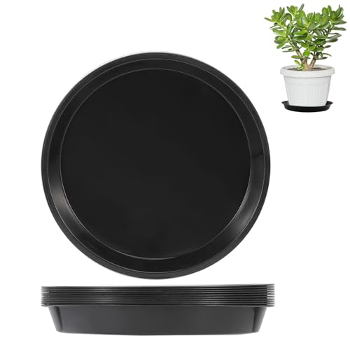 thirei Blumentopf Untersetzer, 24,5cm Untersetzer für Blumentöpfe, 10 Stück Kunststoff Blumenuntersetzer, für Innen und Außenpflanzen, Schwarz thirei Blumentopf Untersetzer, 24,5cm Untersetzer für Blumentöpfe, 10 Stück Kunststoff Blumenuntersetzer, für Innen und Außenpflanzen, Schwarz von thirei