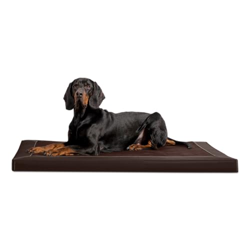tierlando® Carlos Ortho-Medic Orthopädische Hundematte Velours-Kunstleder VISCO Hundebett Größe: L - 100x80cm | Farbe: 01 Braun von tierlando