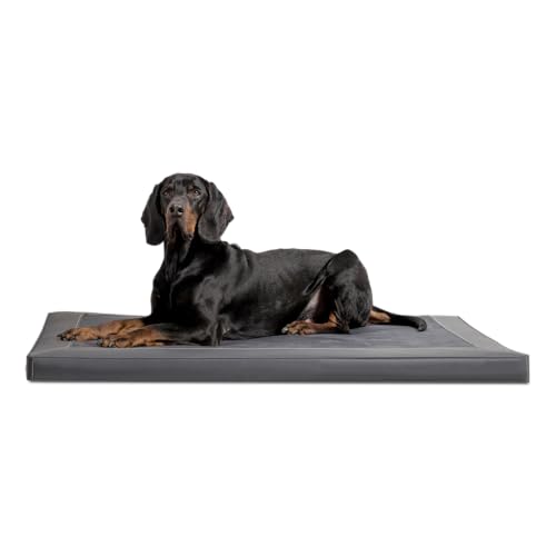 tierlando® Carlos Ortho-Medic Orthopädische Hundematte Velours-Kunstleder VISCO Hundebett Größe: L - 100x80cm | Farbe: 02 Graphit von tierlando