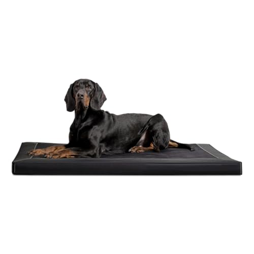 tierlando® Carlos Ortho-Medic Orthopädische Hundematte Velours-Kunstleder VISCO Hundebett Größe: L - 100x80cm | Farbe: 03 Schwarz von tierlando