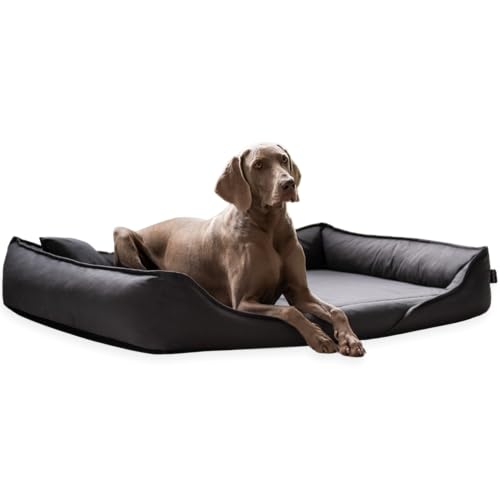 tierlando® Clemens - Orthopädisches Hundebett aus strapazierfähigem Baumwollstoff Größe: 110x85cm | Farbe: 02 Graphit von tierlando