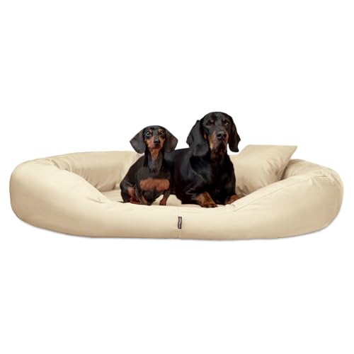 tierlando® Hundebett Sammy Komfort mit herausnehmbarer 4-Kammer-Matratze und hohem Rand aus Polyester 600D für große und schwere Hunde Größe: 140x105cm | Farbe: 05 Creme von tierlando
