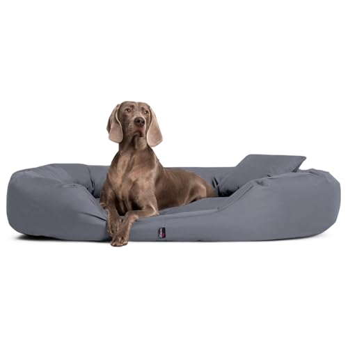 tierlando® Hundebett Sammy Komfort mit herausnehmbarer 4-Kammer-Matratze und hohem Rand aus Polyester 600D für große und schwere Hunde Größe: 140x105cm | Farbe: 06 Grau von tierlando