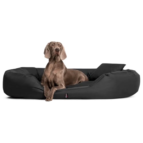tierlando® Hundebett Sammy Komfort mit herausnehmbarer 4-Kammer-Matratze und hohem Rand aus Polyester 600D für große und schwere Hunde Größe: 140x105cm | Farbe: 40 Anthrazit von tierlando