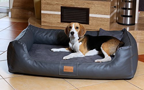 tierlando® Maddox VIP Orthopädisches Hundebett VISCO Velours Kunstleder S - XXL Größe: MO5-AL 120cm | Farbe: 02 Graphit von tierlando