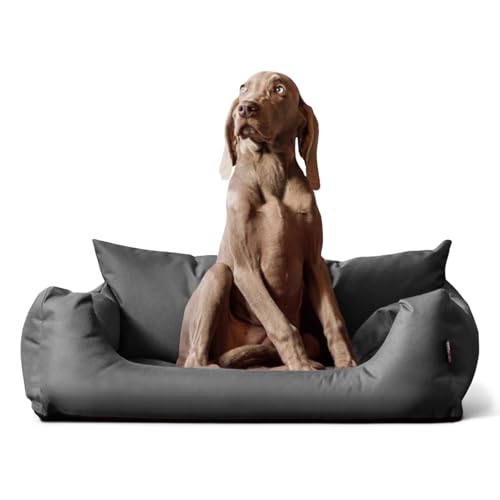 tierlando® NEMO Hundebett aus robustem Oxford 600D, Hundesofa mit herausnehmbarer Komfort-Matratze und waschbarem Bezug, für kleine & mittelgroße Hunde Größe: 100x80cm | Farbe: 06 Grau von tierlando