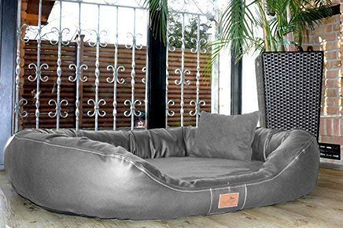 tierlando® Nonplusultra Lennart orthopädisches Hundebett mit Visco Plus | Kunstleder Velours | Premium-Lounge Gr. XXL 140 cm Grau von tierlando