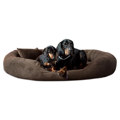 tierlando® Orthopädisches Hundebett Sammy | High-Tech-Velours | Dicke Umrandung | L - XXXXL Hundesofa Braun Gr. XXL 140 cm von tierlando