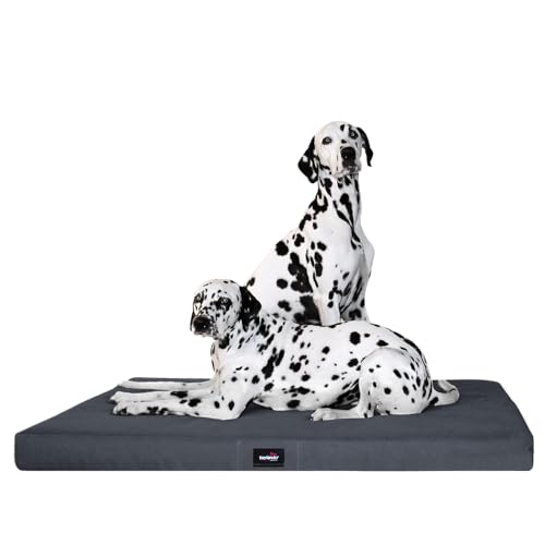 tierlando® Orthopädische Hundematratze Alice ANTIRUTSCH aus robustem Polyester 600D | Visco-Matratze (L 100 x 80 cm, 2 Graphit) von tierlando