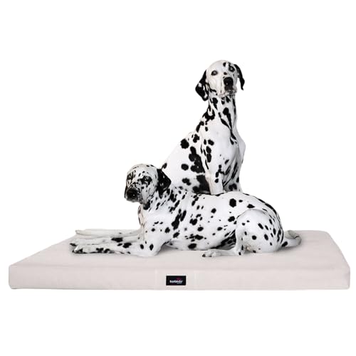 tierlando® Orthopädische Hundematratze Alice ANTIRUTSCH aus robustem Polyester 600D | Visco-Matratze (L 100 x 80 cm, 5 Creme) von tierlando