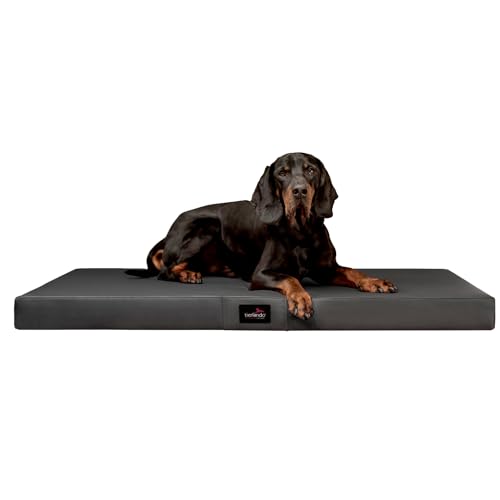 tierlando® Orthopädische Hundematratze Alice Easy CLEAN Kunstleder Visco-Hundematte (AL3 M 80 cm, 02 Graphit) von tierlando