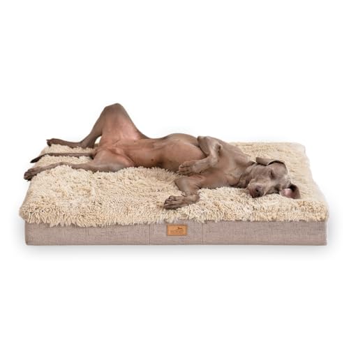 tierlando® Orthopädische Hundematratze Pablo Shaggy – Ortho Plus Anti-Rutsch-Unterseite Melange-Rand Langflor Plüsch-Liegefläche waschbar Größe: 150x100cm | Farbe: 14 Beige von tierlando