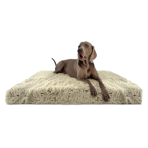 tierlando® Orthopädische Hundematratze Pitt Shaggy – Ortho Plus Anti-Rutsch-Unterseite Langflor Plüsch-Bezug waschbar Größe: 80x60cm | Farbe: 14 Beige von tierlando