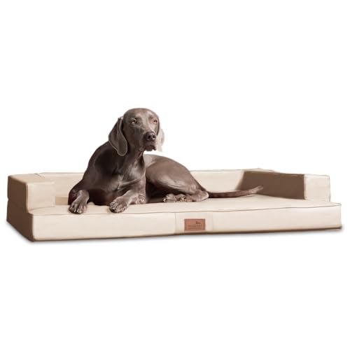 tierlando® Orthopädisches Design Hundesofa Gibson VISCO Kunstleder kubische Form (GI3- M 80cm, 05 Creme) von tierlando