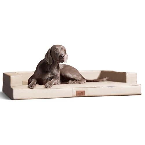 tierlando® Orthopädisches Design Hundesofa Gibson VISCO Kunstleder kubische Form (GI5- XL 120cm, 05 Creme) von tierlando