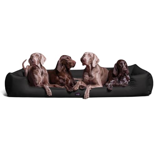 tierlando® Orthopädisches Hundebett Goofy - für große Hunde XL bis XXXL - waschbarer Polyester-Bezug - ideal bei Gelenkproblemen - Größ: 160x110cm Farbe: 03 Schwarz von tierlando