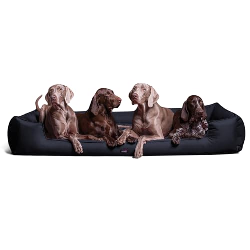 tierlando® Orthopädisches Hundebett Goofy - für große Hunde XL bis XXXL - waschbarer Polyester-Bezug - ideal bei Gelenkproblemen - Größ: 160x110cm Farbe: 25 Navy Dunkelblau von tierlando