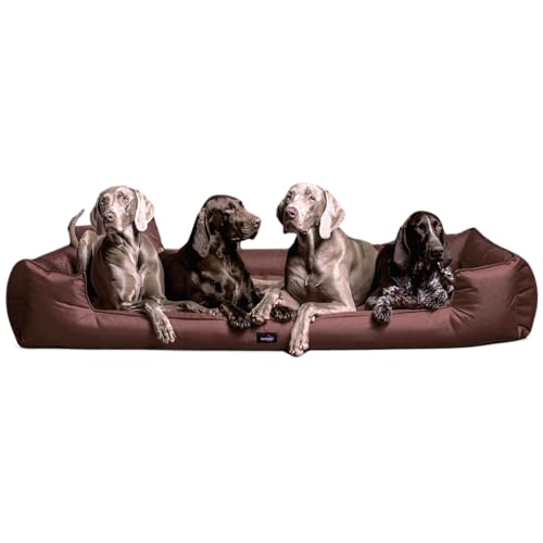 tierlando® Orthopädisches Hundebett Goofy inkl. Matratzenschoner für große Hunde Polyester Waschbar Hundesofa XL XXL XXXL (G6 | 160 x 110 cm, 01 | Braun) von tierlando