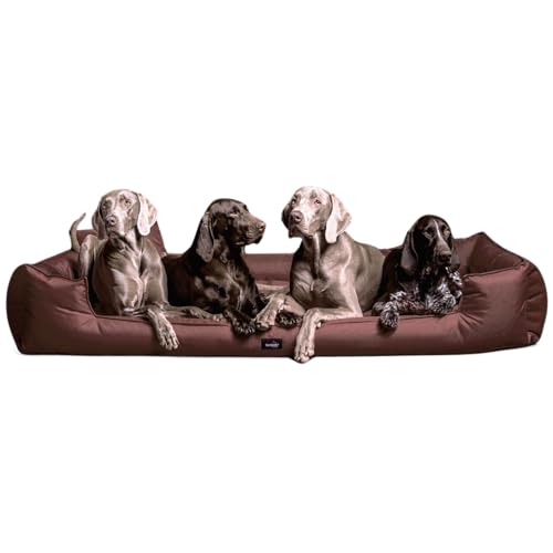 tierlando® Orthopädisches Hundebett Goofy inkl. Matratzenschoner für große Hunde Polyester Waschbar Hundesofa XL XXL XXXL (G7 | 185 x 110 cm, 01 | Braun) von tierlando