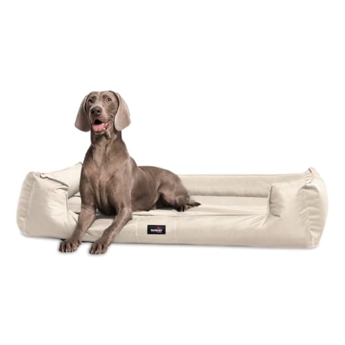 tierlando® Orthopädisches Hundebett Goofy inkl. Matratzenschoner für große Hunde Polyester Waschbar Hundesofa XL XXL XXXL L+ 110cm | 05 Creme von tierlando