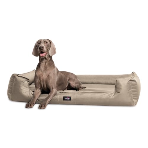 tierlando® Orthopädisches Hundebett Goofy inkl. Matratzenschoner für große Hunde Polyester Waschbar Hundesofa XL XXL XXXL L+ 110cm | 14 Beige von tierlando