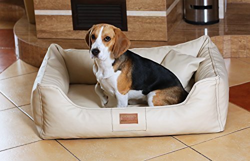 tierlando® Orthopädisches Hundebett Maddox Kunstleder Hundesofa Mittelgroß Große Hunde Hundesofa Hundekorb XL XXL Größe: MO4-LL 100cm Farbe: 05 Creme von tierlando