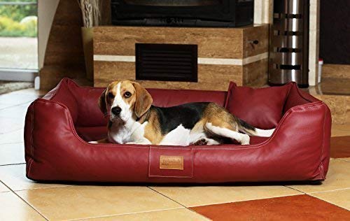 tierlando® Orthopädisches Hundebett Maddox Kunstleder Hundesofa Mittelgroß Große Hunde Hundesofa Hundekorb XL XXL Größe: MO5-LL 120cm Farbe: 04 Bordeaux von tierlando