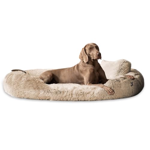 tierlando® Orthopädisches Hundebett Pamela Shaggy – kuschelig, flauschig, waschbar, herausnehmbar Langer Plüsch, Langflor Größe: 175x115cm | Farbe: 14 Beige von tierlando