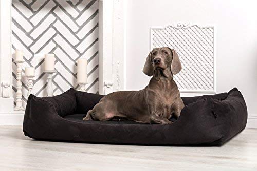 tierlando® Orthopädisches Hundebett Pluto Ortho VISCO Viscoschaum aus weichem Velours Größe: PLV3 90x75 cm | B Farbe: 03 Schwarz von tierlando