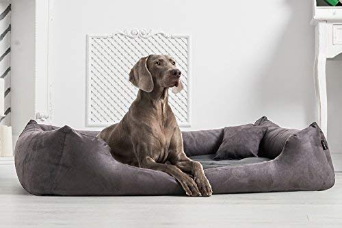tierlando® Orthopädisches Hundebett Pluto Ortho VISCO Viscoschaum aus weichem Velours Größe: PLV5 130x100 cm | B Farbe: 02 Graphit von tierlando