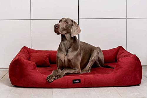 tierlando® Orthopädisches Hundebett Pluto Ortho VISCO Viscoschaum aus weichem Velours Größe: PLV6 160x110 cm | B Farbe: 04 Bordeaux von tierlando