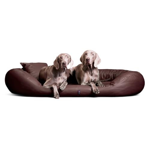 tierlando® Orthopädisches Hundebett Sammy Easy CLEAN mit viscoelastischer Matratze und hohem Rand aus Kunstleder für gelenkschonenden Schlaf und höchsten Komfort Größe: 140x105cm | Farbe: 01 Braun von tierlando