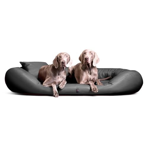 tierlando® Orthopädisches Hundebett Sammy Easy CLEAN mit viscoelastischer Matratze und hohem Rand aus Kunstleder für gelenkschonenden Schlaf und höchsten Komfort Größe: 140x105cm | Farbe: 06 Grau von tierlando