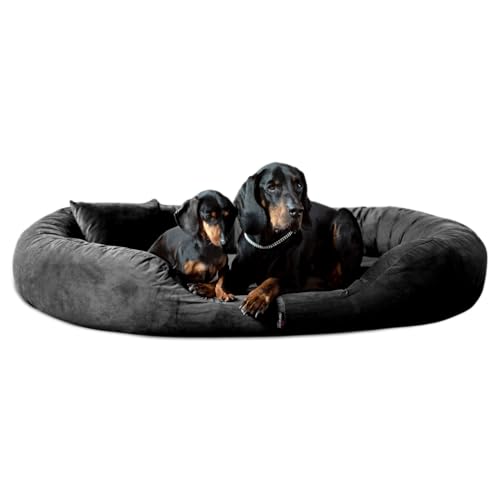 tierlando® Orthopädisches Hundebett Sammy | High-Tech-Velours | Dicke Umrandung | L - XXXXL Hundesofa Schwarz Gr. XXXL 170 cm von tierlando