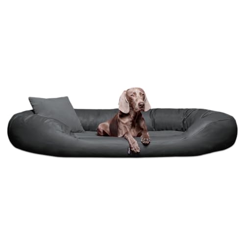 tierlando® Orthopädisches Hundebett Sammy | Kunstleder-Velours-Mix | Dicke Umrandung | L - XXXXL Hundesofa Grau Gr. XXL 140 cm von tierlando