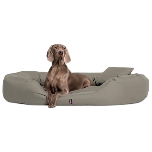 tierlando® Orthopädisches Hundebett Sammy - Robuster Polyester - Dicke Umrandung - Gr. L - XXXXL Hundesofa Hundekörbchen, mittelgroße und große Hunde, waschbar Gr. XXL 140 cm Beige Dunkel von tierlando
