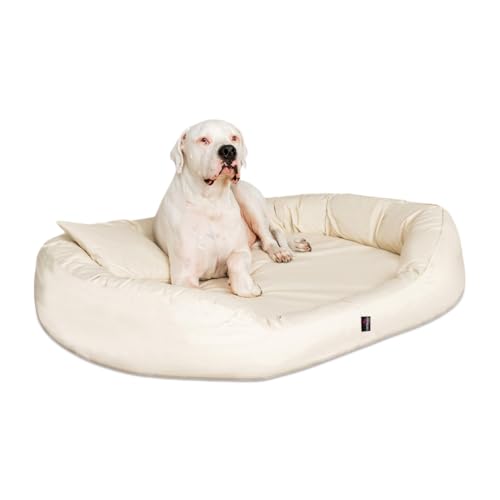 tierlando® Orthopädisches Hundebett Sammy - Robuster Polyester - Dicke Umrandung - Gr. L - XXXXL Hundesofa Hundekörbchen, mittelgroße und große Hunde, waschbar Gr. XXL 140 cm Creme von tierlando