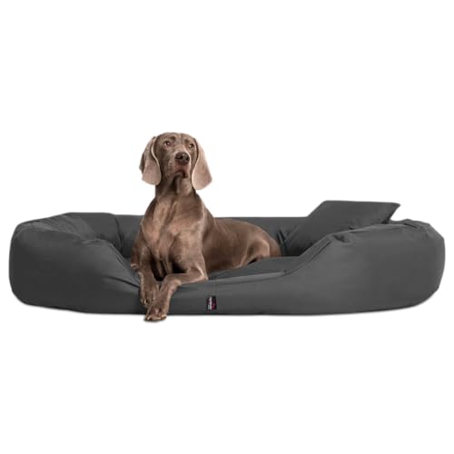 tierlando® Orthopädisches Hundebett Sammy - Robuster Polyester - Dicke Umrandung - Gr. L - XXXXL Hundesofa Hundekörbchen, mittelgroße und große Hunde, waschbar Gr. XXXXL 220 cm Graphit Grau von tierlando