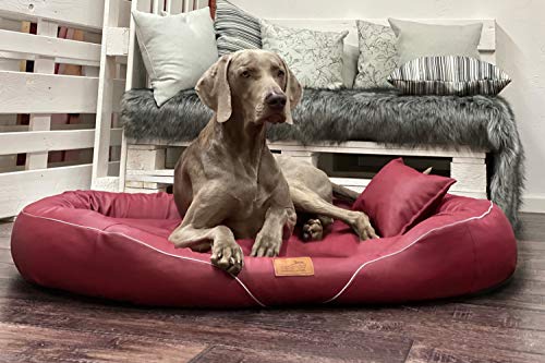 tierlando® Orthopädisches Hundebett Tiffany Easy-Clean | Große Hunde XL XXL | Allergiker Anti-Haar Kunstleder | Memory Foam XXL | Dunkelrot von tierlando