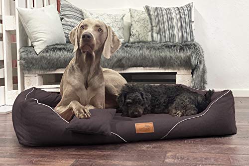 tierlando® Orthopädisches Hundebett William Couture | Bequemes Hundebett | Waschbar | Memory Foam | Kuscheliges Hundesofa L+ | Dunkelbraun von tierlando