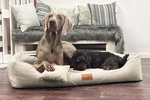 tierlando® Orthopädisches Hundebett William Couture | Bequemes Hundebett | Waschbar | Memory Foam | Kuscheliges Hundesofa XL+ | Creme von tierlando