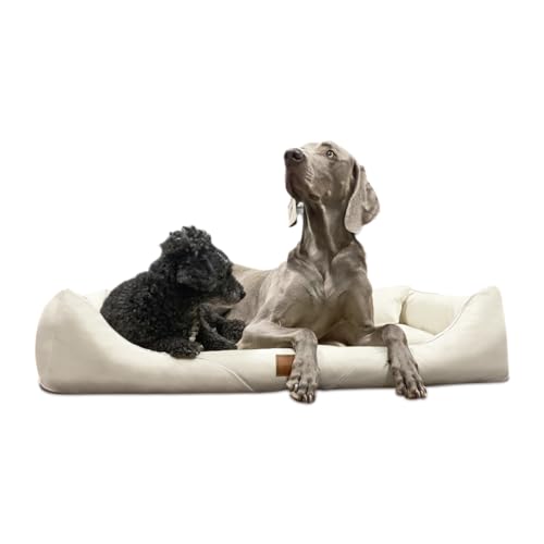 tierlando® Orthopädisches Hundebett William Easy-Clean | Luxus Hundesofa Kunstleder | Allergiker Anti-Haar | Memory Foam M+ | Creme von tierlando