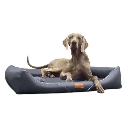 tierlando® Orthopädisches Hundebett William Easy-Clean | Luxus Hundesofa Kunstleder | Allergiker Anti-Haar | Memory Foam M+ | Graphit von tierlando