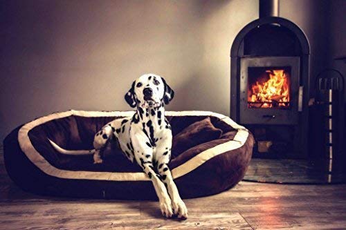 tierlando® Pepper Orthopädisches Hundebett Hundesofa VISCO XL Velours Mega Dick & Weich Schwarz 160cm XXL Velours MEGA DICK & WEICH von tierlando